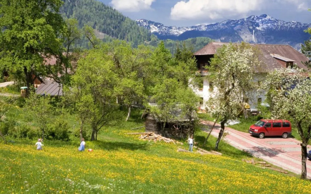 Ferienhof Rotbuchner