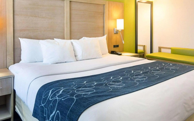 Comfort Suites Beachfront
