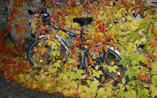 Downtown City Landmark Near Checkpoint Charlie