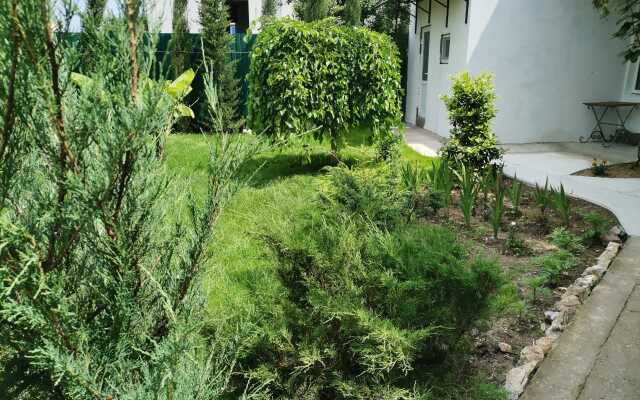 Оазис (Береговое)