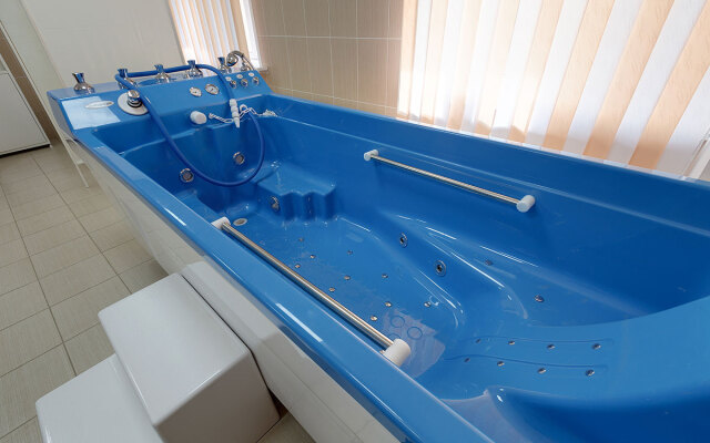 Кедровый бор