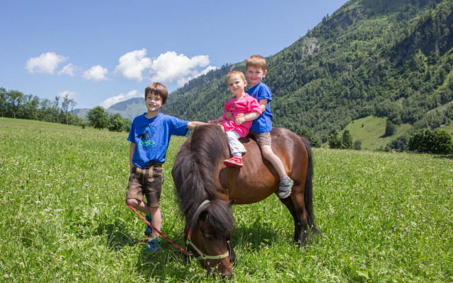 Feriendorf Ponyhof