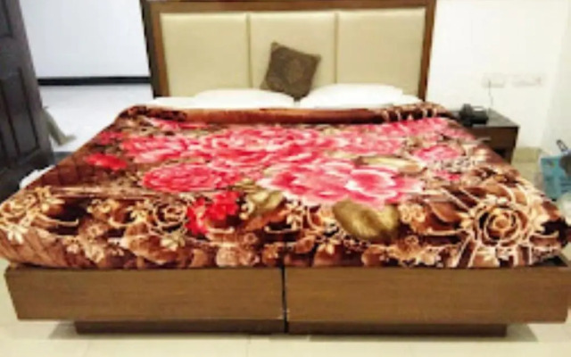 Hotel Mahal Inn - Amritsar