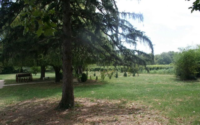 Château Le Martinet