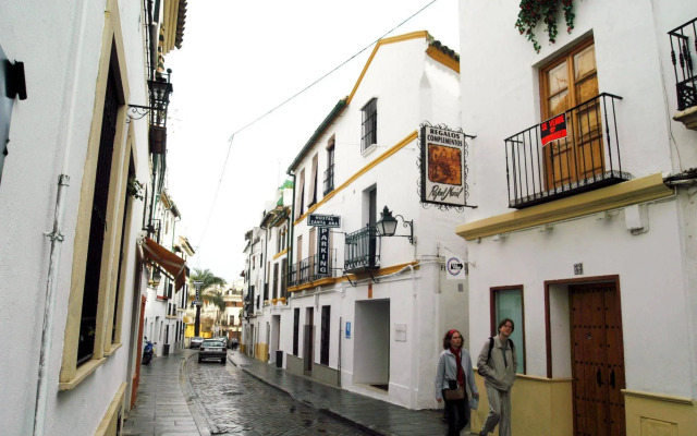 Vitium Córdoba