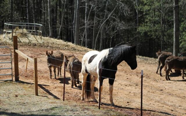 Pony Express - 2 Br Cabin