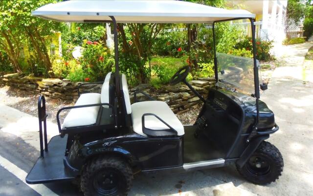 Stunning Loft with Golf Cart