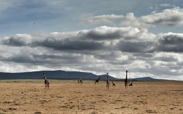 Encounter Mara Camp