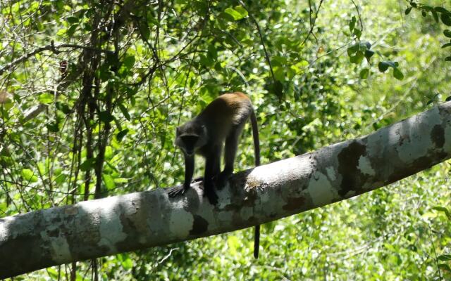 Wami River Bush Retreat - Kisampa