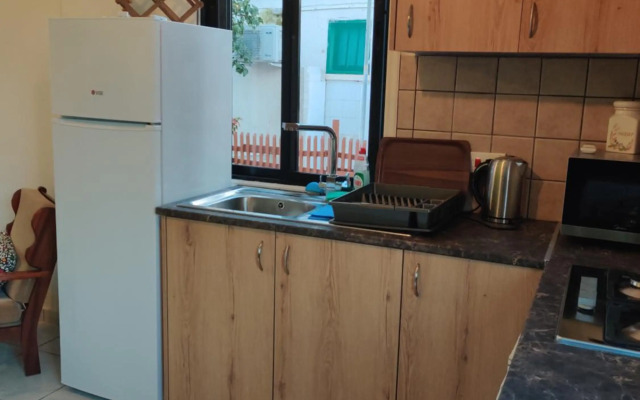 Palm garden paradise