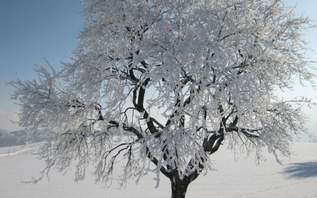 Pension Kreuzinger, 5310 Tiefgraben