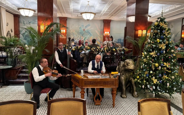 Hotel Veritas