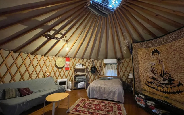 Yurt Located in a Little oak Grove
