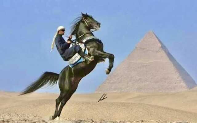 Magic Pyramids View Accommodation