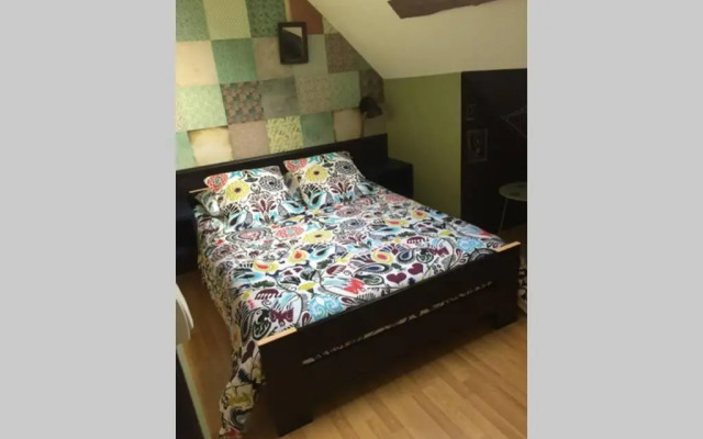 T3 duplex industriel hyper centre ville historique