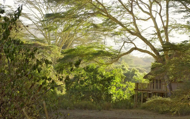 Kigio Wildlife Camp
