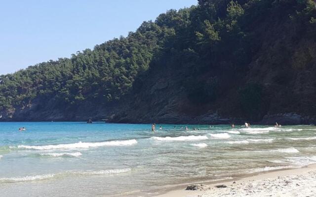 Seaside Deluxe Apartment