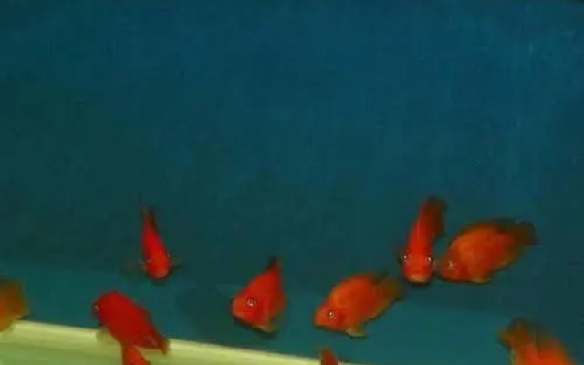 Hanting Express Qingdao Railway Station Chongqing Middle Road