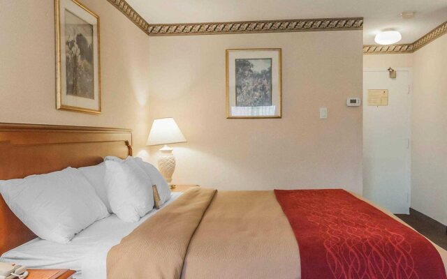 Mississauga Inn and Suites