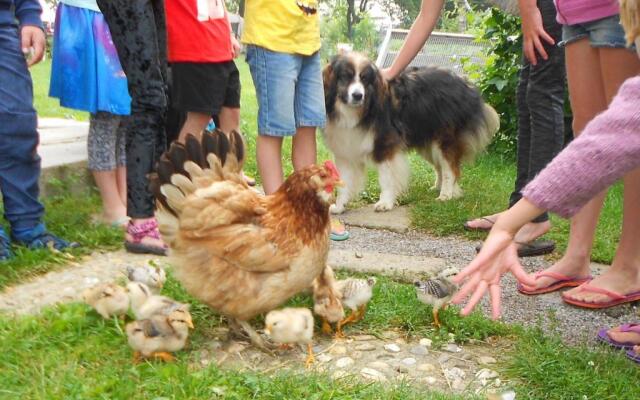 Apartment at Sedliacky Dvor - Brezno