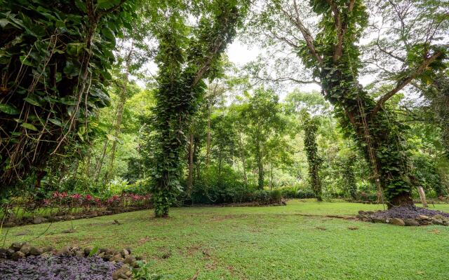 Villa Lapas Jungle Village