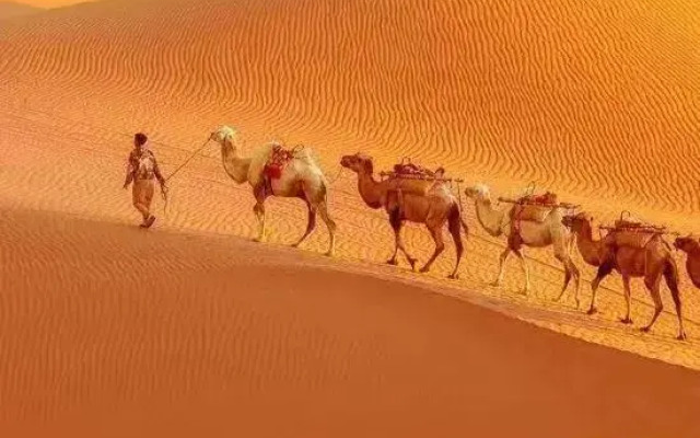 Zhongwei Moshang Fanxing Desert Star Watching Homestay