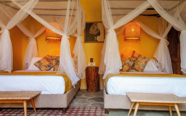 Ecoxata - Adults Only