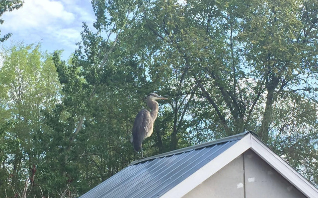 Serenity Stay Bed & Breakfast