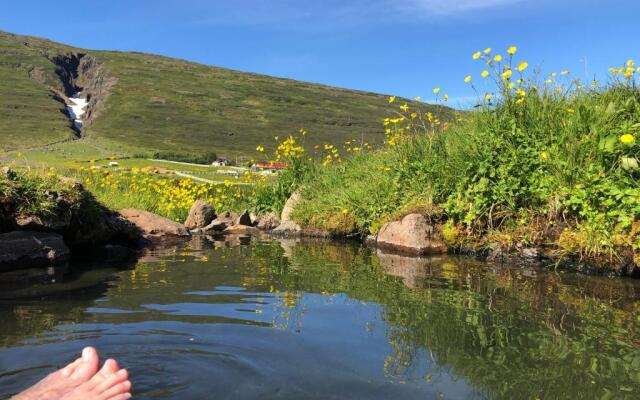 Country Hotel Heydalur