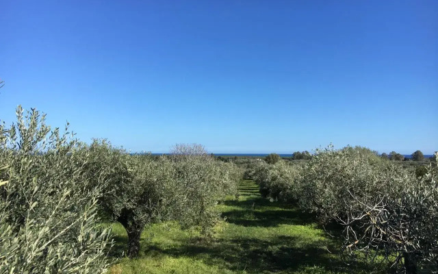 Sa Tanca De Mannoi