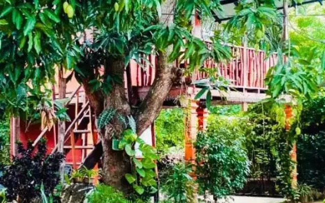 Sigiri Sky Home & Tree House