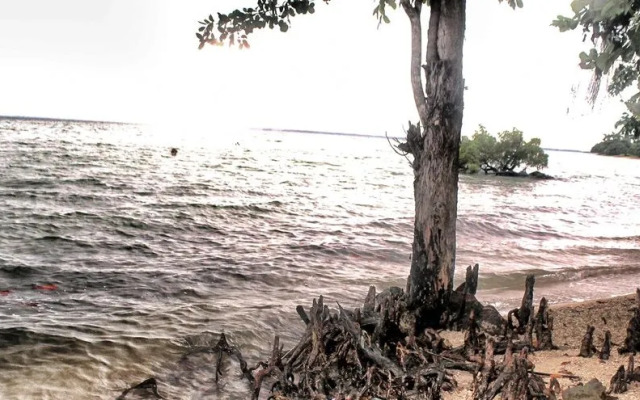 Walai Penyu Resort - Campground