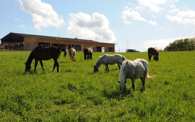 Freizeitreitstall Schammelsdorf