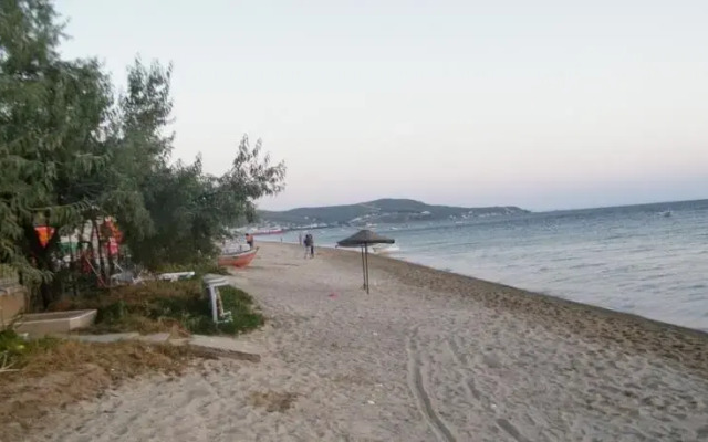 Gunes Yali