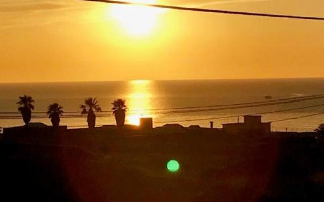 Dammusi Gold - Raffy