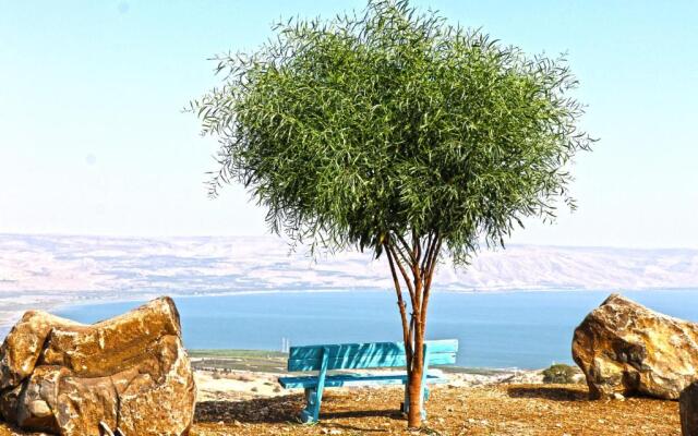 Sea Of Galilee Site