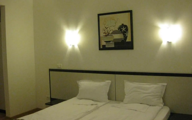 Hotel Anina