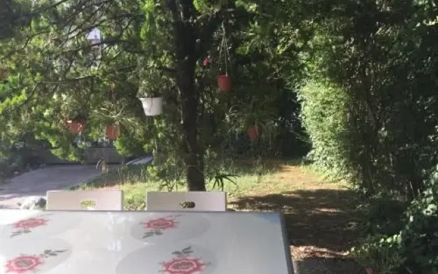 BB Casa Tomato