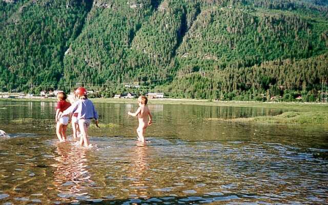 Holiday Home in Todalen