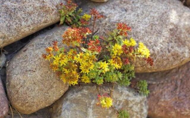 Straße der Freundschaft 30d