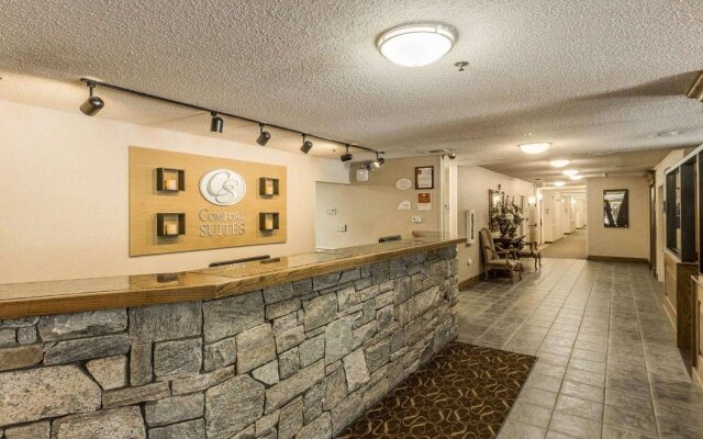 Comfort Suites Boone - University Area
