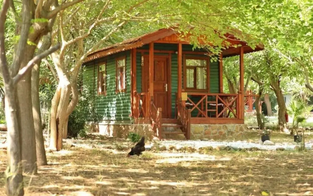 Eden Bungalows and Beach