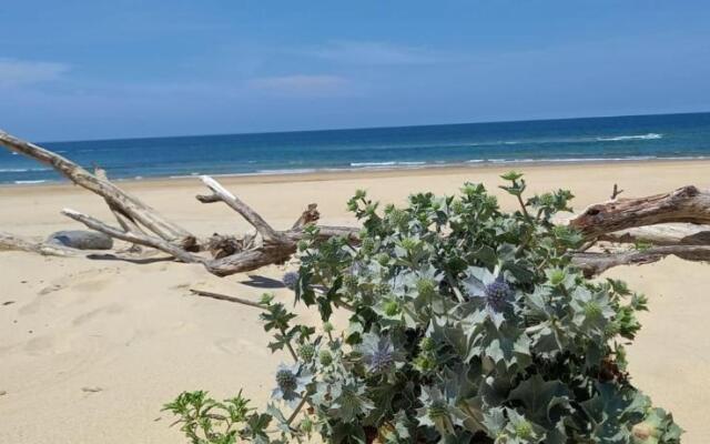 Very Nice Wood Frame House With Garden