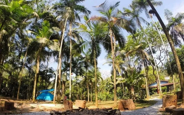 Pousada e Camping Rupestre