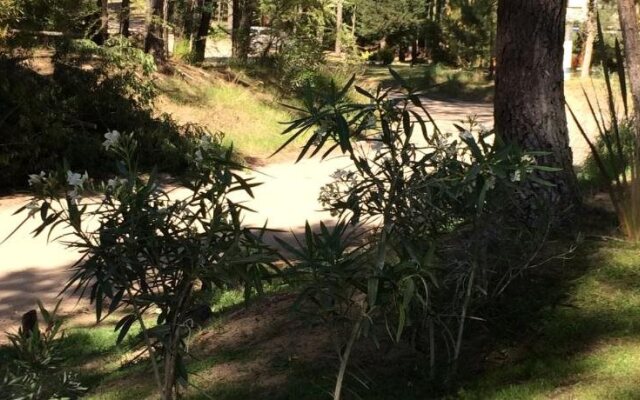 Rincon De Las Pampas