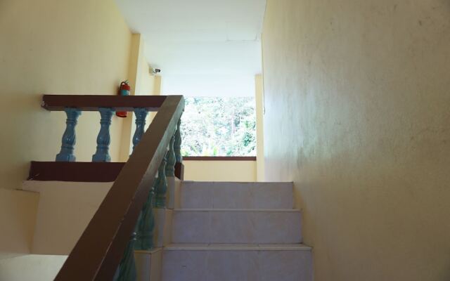 Palmy Home