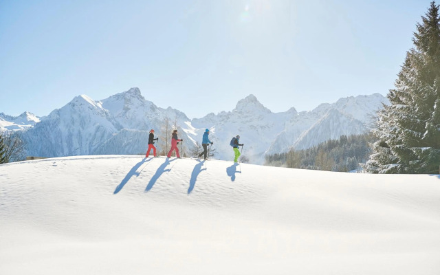 Appartement Ski In by A-Appartments