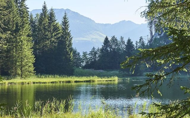 Berggasthof Bichlersee