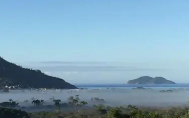 Wood Cabin into the Wild