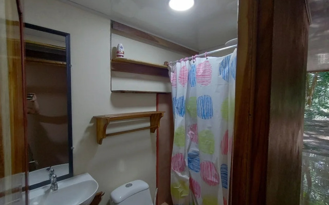 Cool Waters Jungle Camping